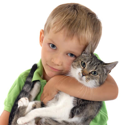 Picture of boy holding kitten