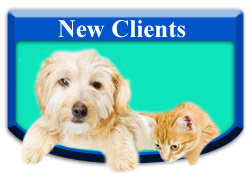 New Client button