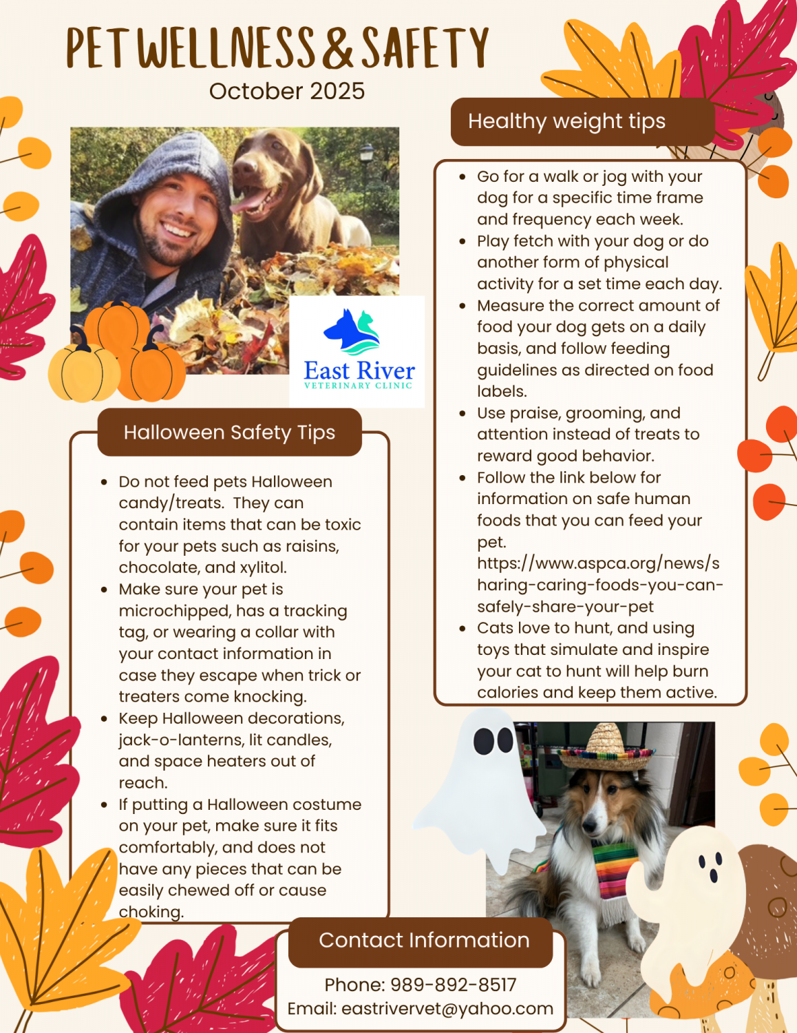 October 2025 - Pet Wellness & Safety