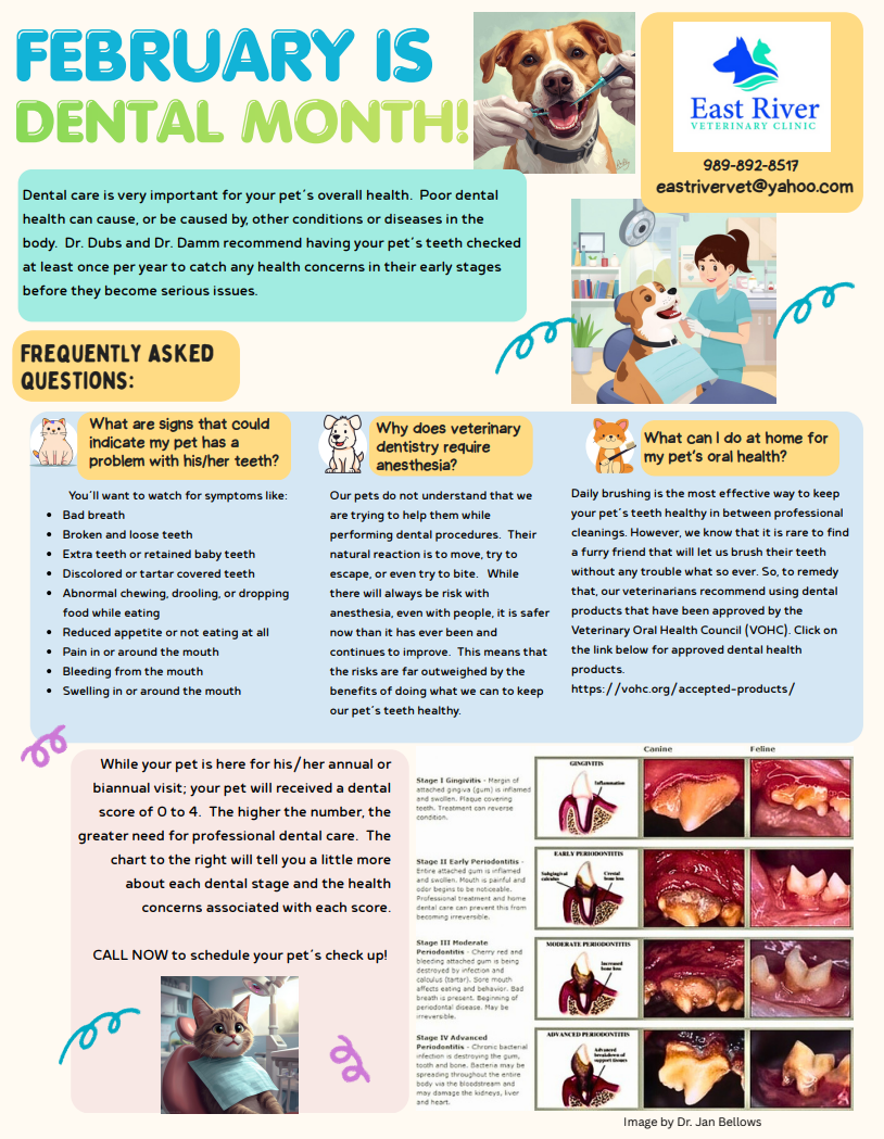 Feb 2026 - Newsletter