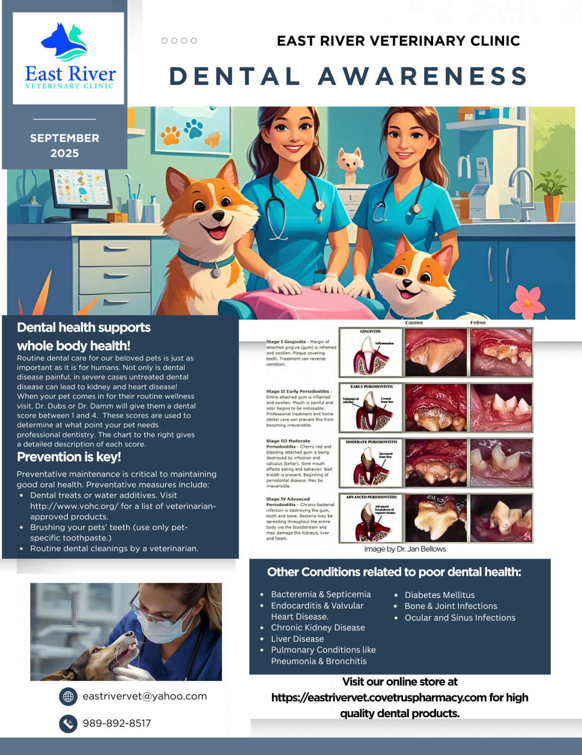 September 2025 - Dental Health