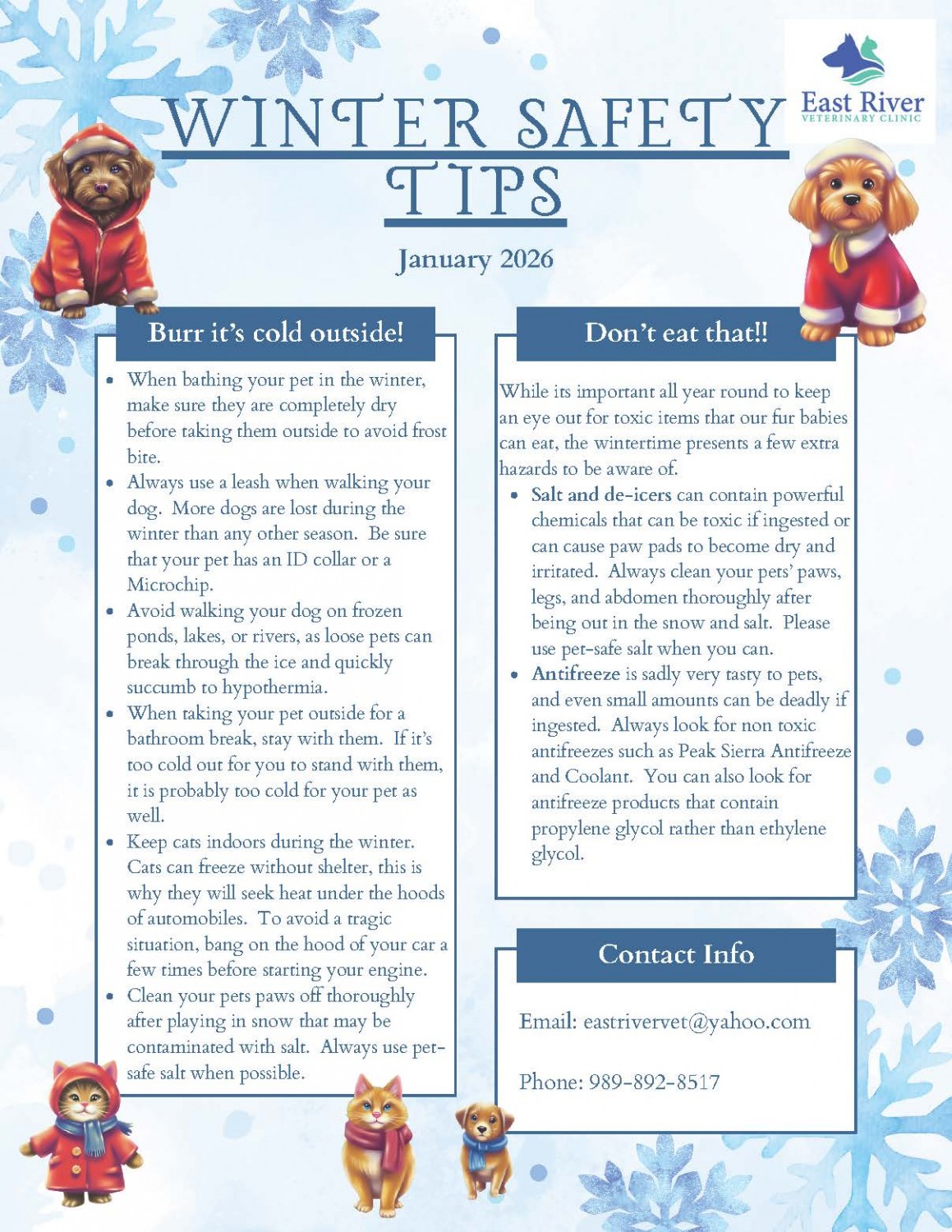 January 2026 Newsletter