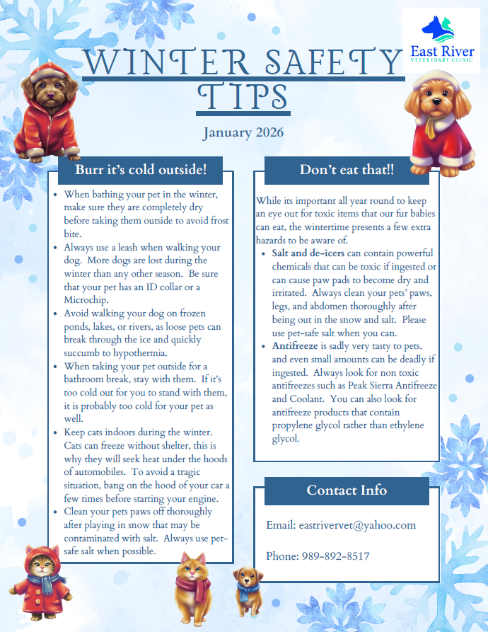 January 2026 - Newsletter