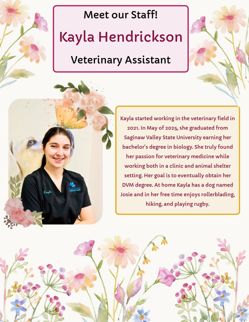 Meet Our Staff - April Newsletter