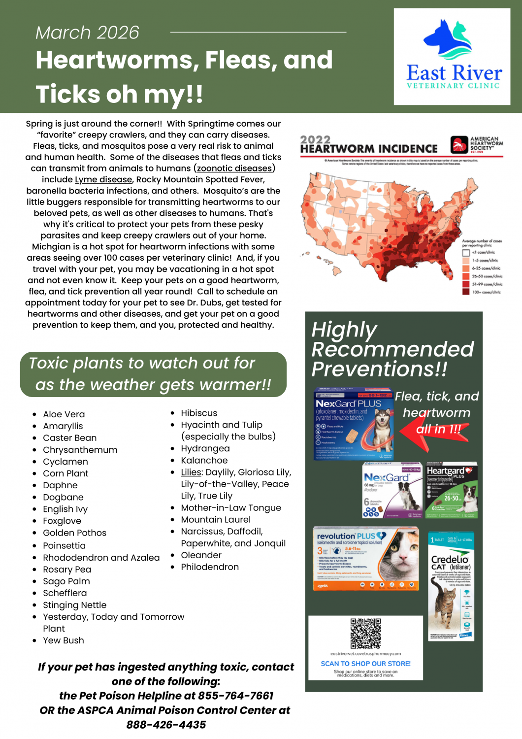 Mar 2026 - Newsletter