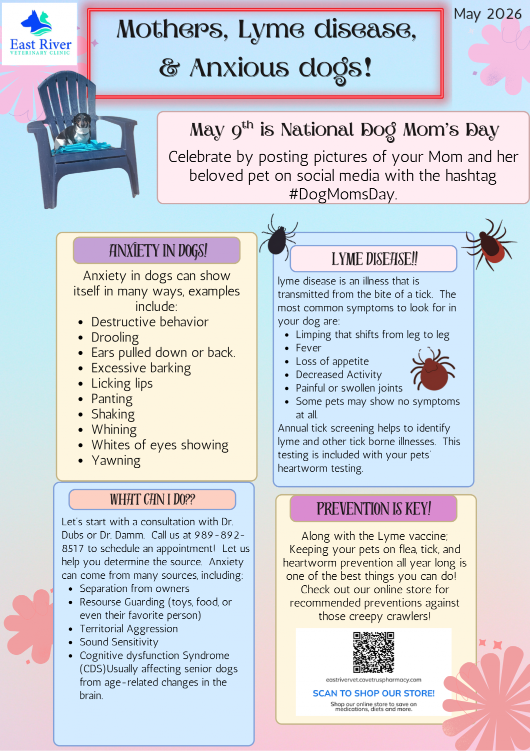 May 2026 - Newsletter