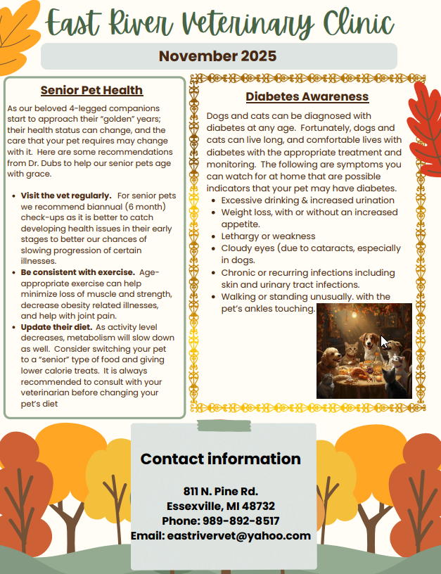 November 2025 - Newsletter