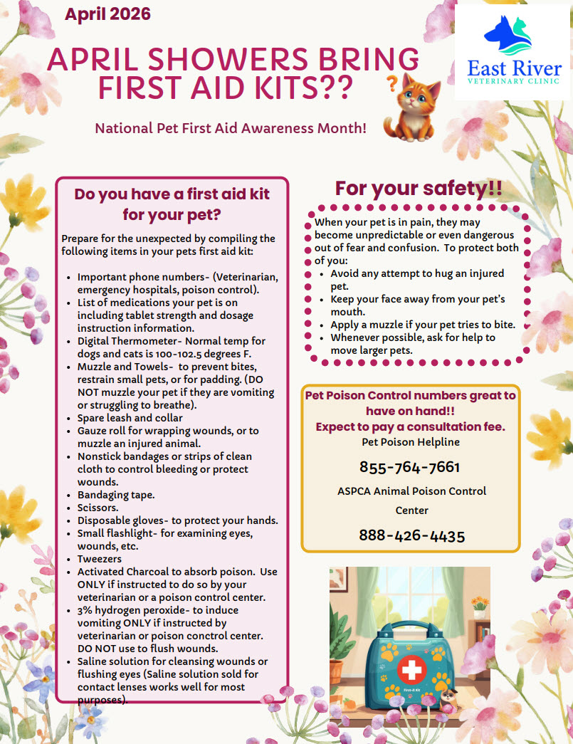 April 2026 - Newsletter