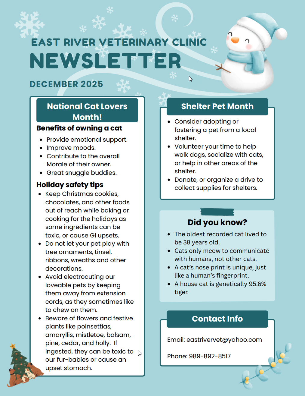 November 2025 Newsletter