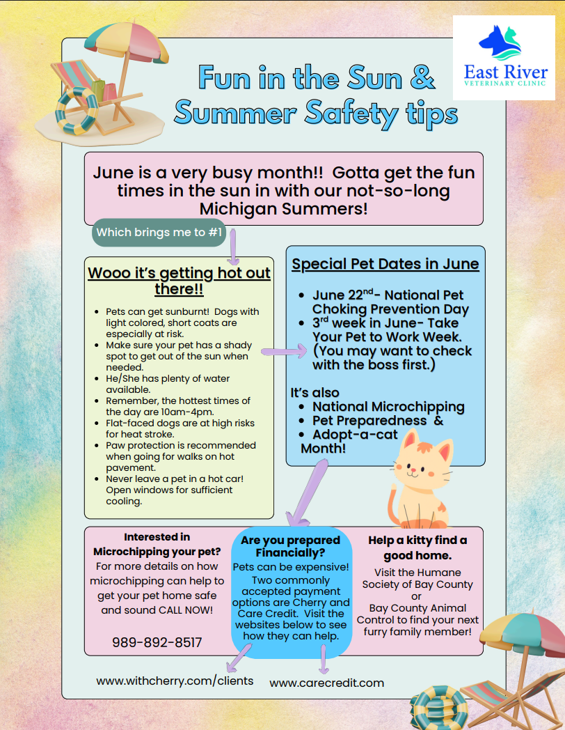 May 2026 - Newsletter