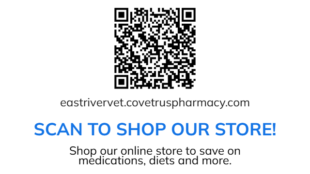 Scan for online store!